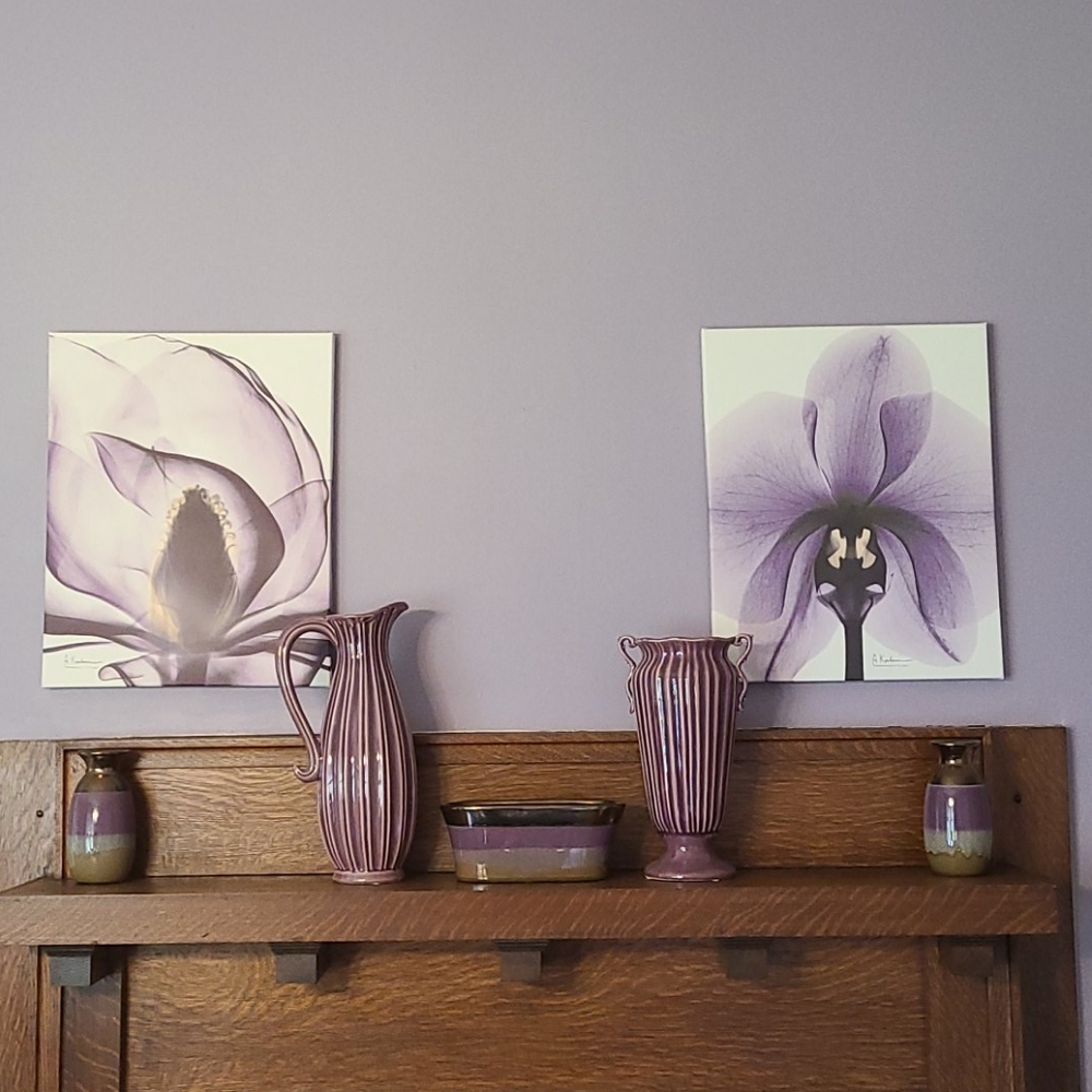 20 x 16 Canvas Pair Iris Floral